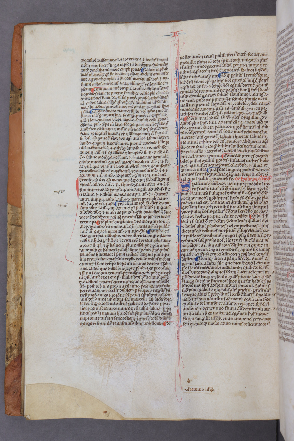 Folio 55 verso